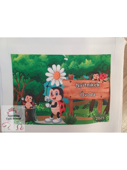 Ballagási tarisznya 