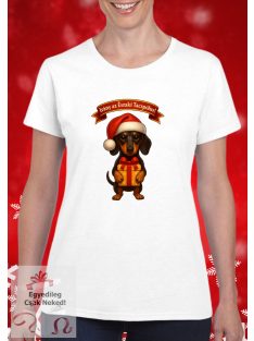 Irány az Északi Tacspólus