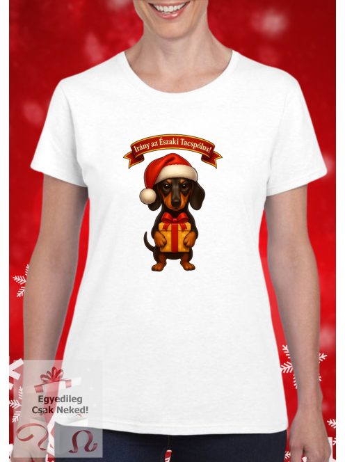 Irány az Északi Tacspólus