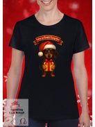 Irány az Északi Tacspólus