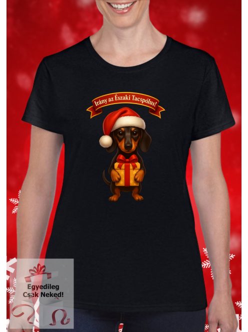 Irány az Északi Tacspólus