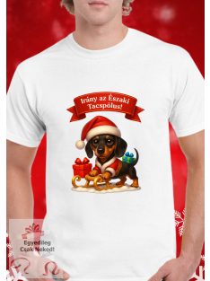 Irány az Északi Tacspólus szánkós