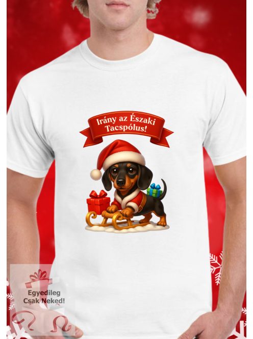 Irány az Északi Tacspólus szánkós