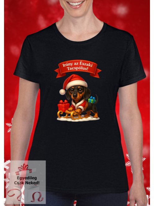 Irány az Északi Tacspólus szánkós