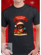 Irány az Északi Tacspólus szánkós