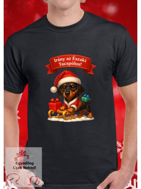 Irány az Északi Tacspólus szánkós