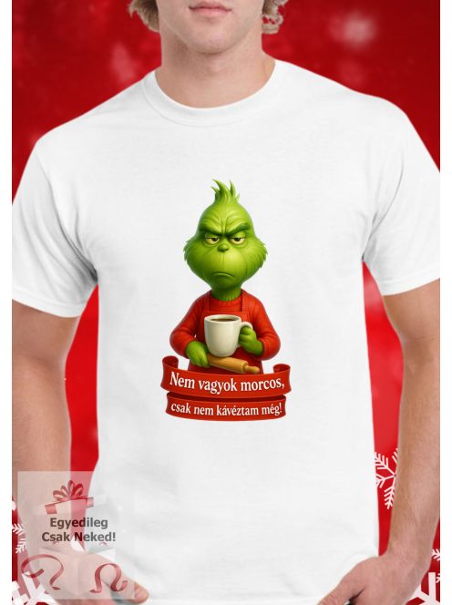 Nem vagyok morcos