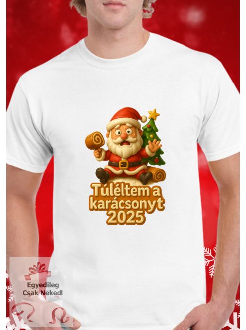 Túléltem a karácsonyt