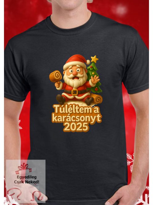 Túléltem a karácsonyt