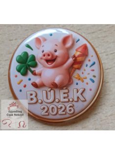 Egyedi 3D hatású szerencsehozó kitűző